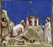GIOTTO di Bondone Joachim's Sacrificial Offering oil painting